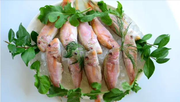 Barbun