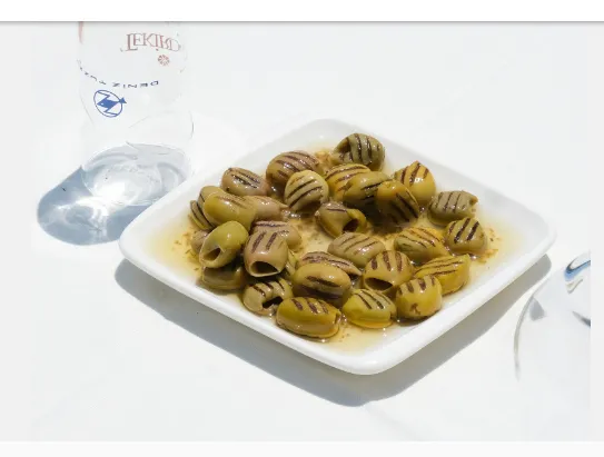 Izgara Zeytin