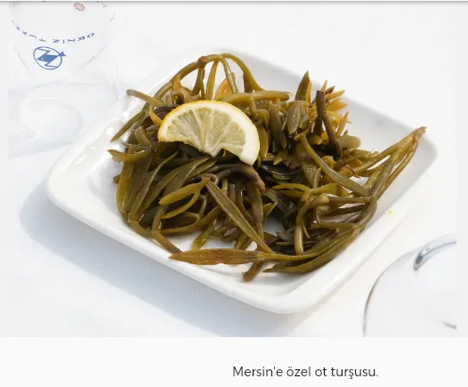 Kaya Kuruğu
