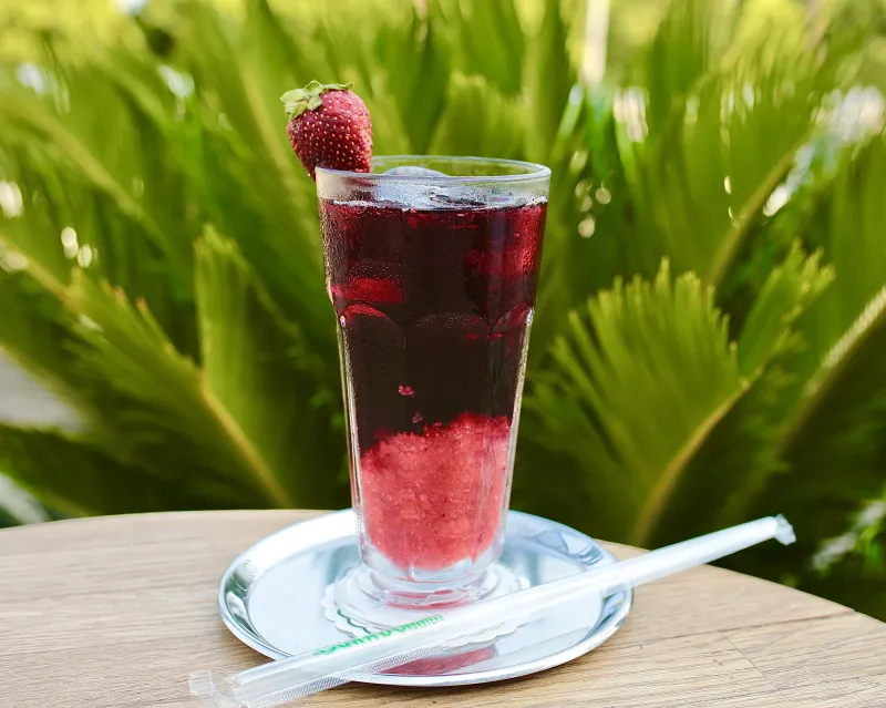 Hibiskus (Çilek)